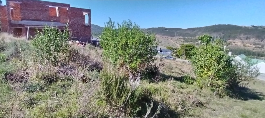 0 Bedroom Property for Sale in Green Pastures Western Cape